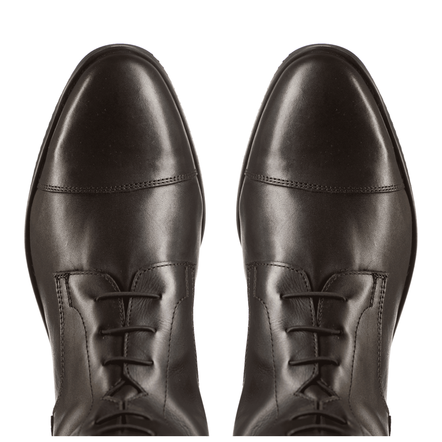 Reitstiefel Orion
