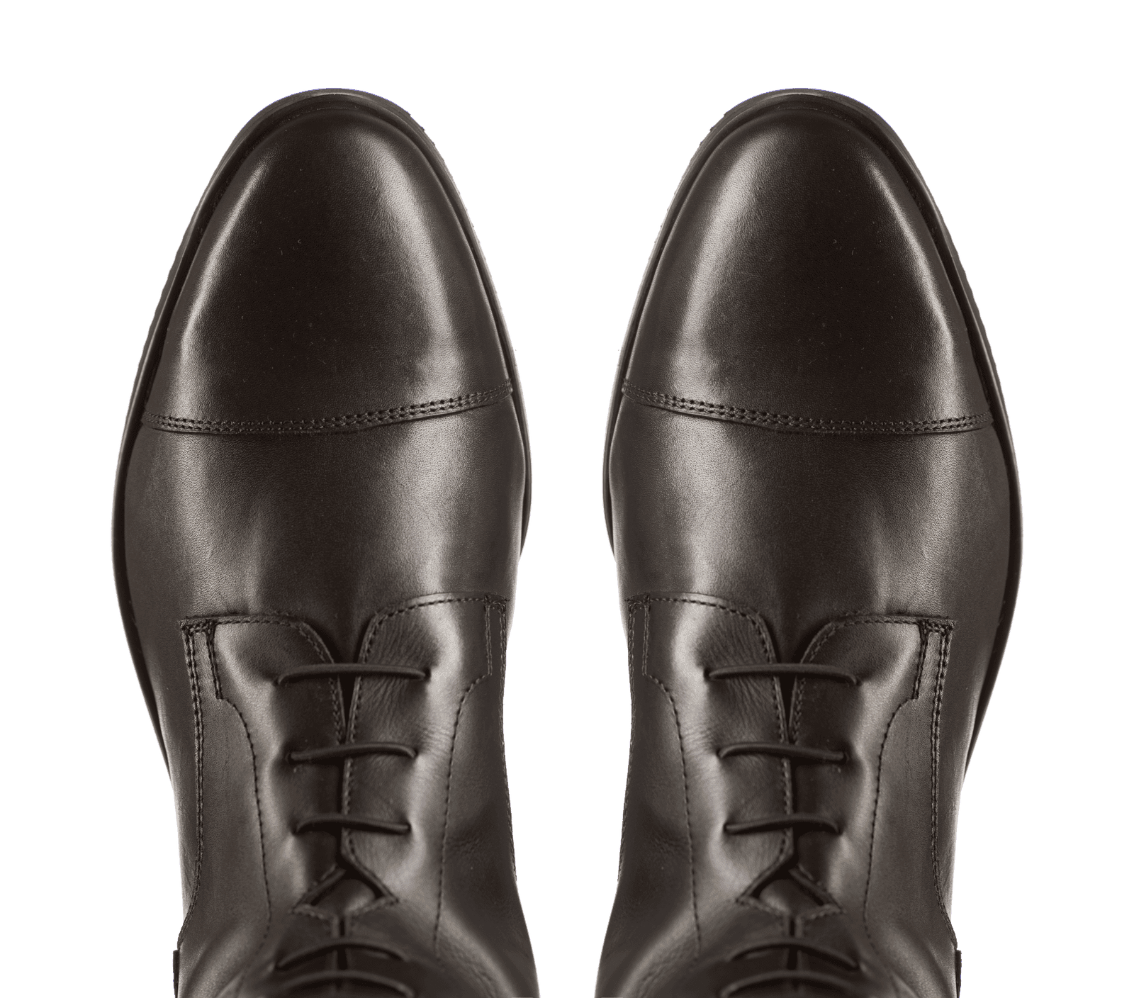 Reitstiefel Orion braun