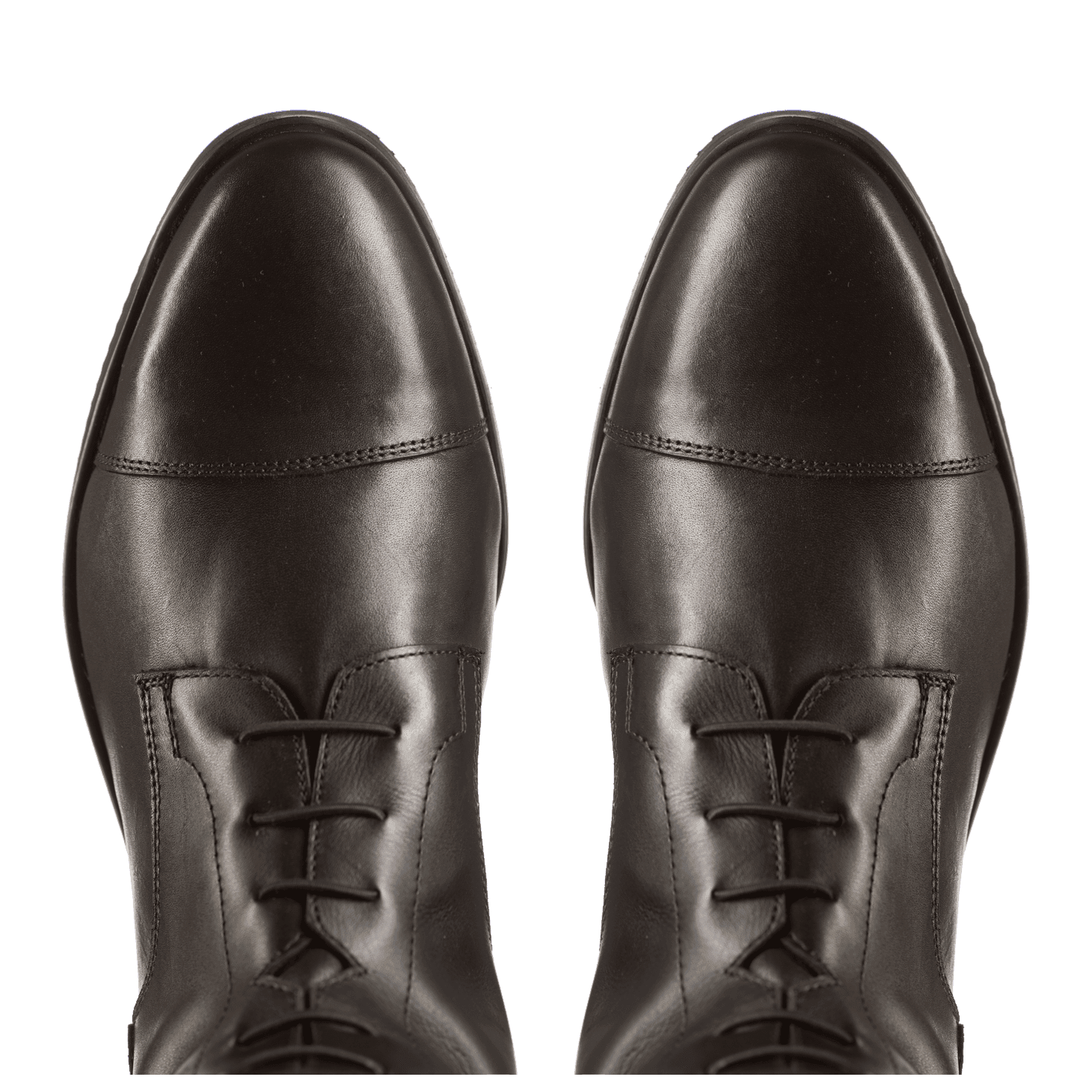 Reitstiefel Orion schwarz