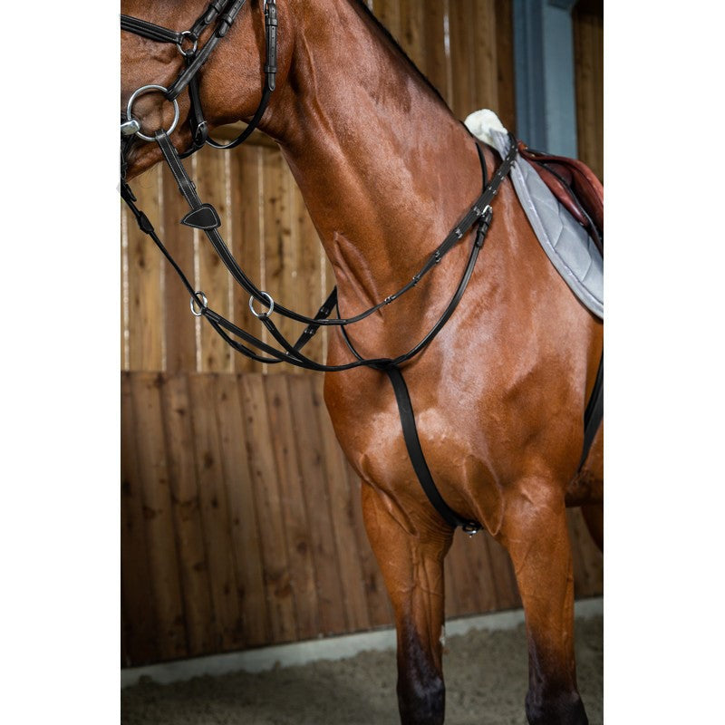 Ringmartingal WORKING Collection