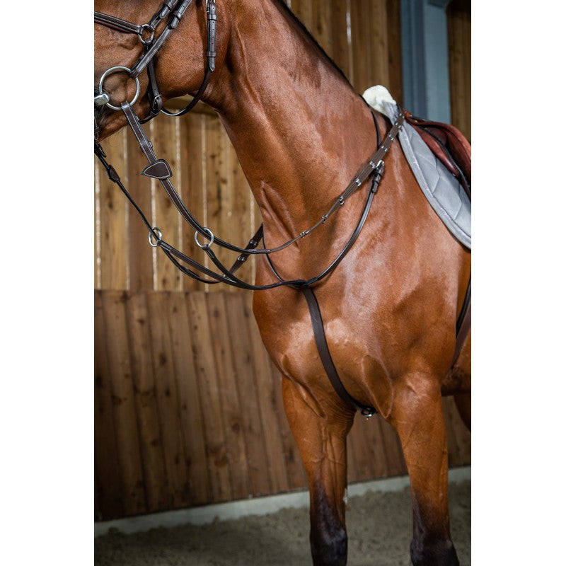 Ringmartingal WORKING Collection