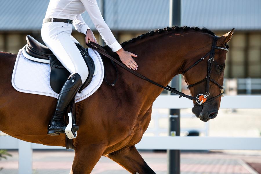 Sattelpad Dressur Comfort 18mm