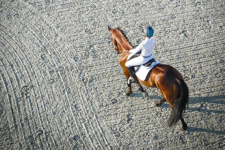 Sattelpad Dressur Comfort 18mm