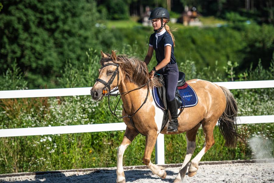 Sattelpad Pony Slim 10mm