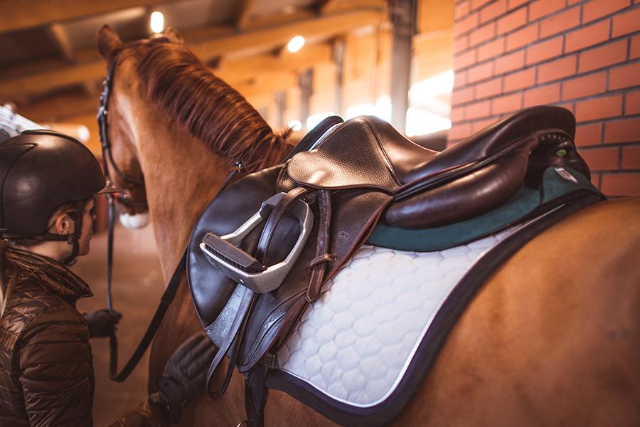 Sattelpad Springen Comfort 18mm