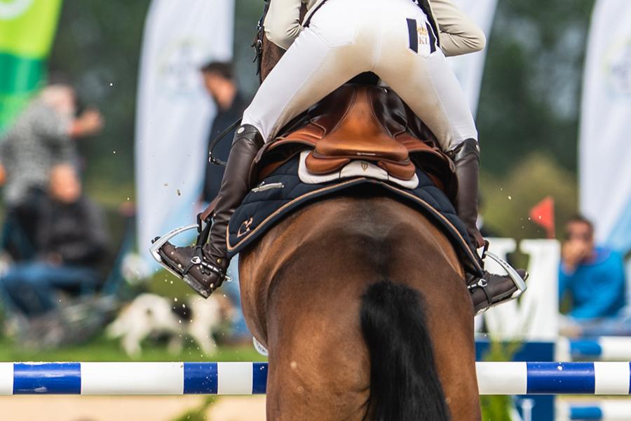 Sattelpad Springen Comfort 18mm