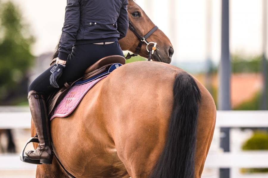 Sattelpad Springen Comfort 18mm