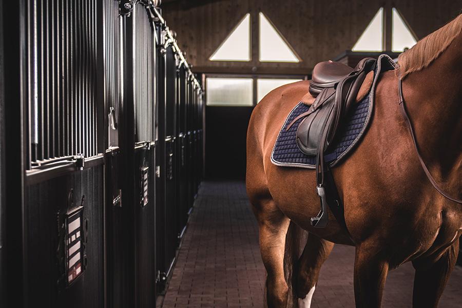 Sattelpad Springen Comfort 18mm