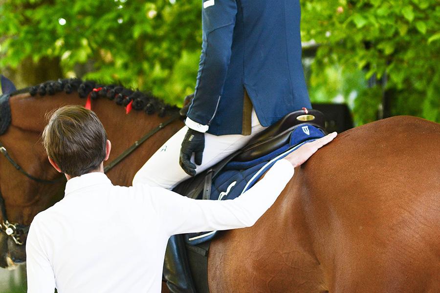 Sattelpad Springen Comfort 18mm