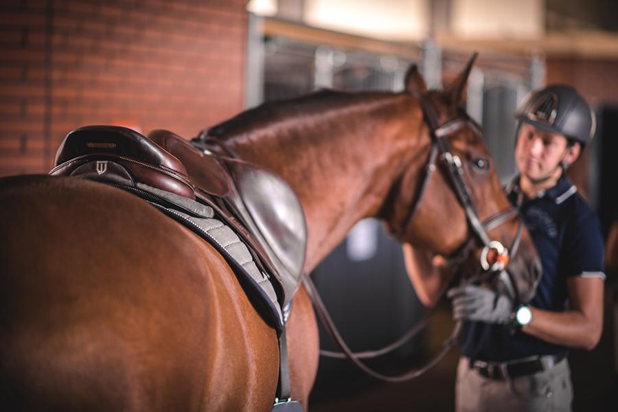 Sattelpad Springen Comfort 18mm