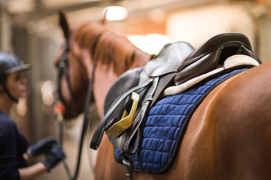 Sattelpad Springen Comfort 18mm