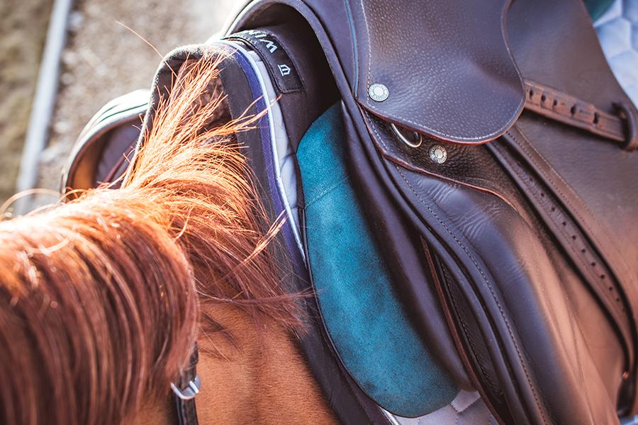 Sattelpad Springen Comfort 18mm