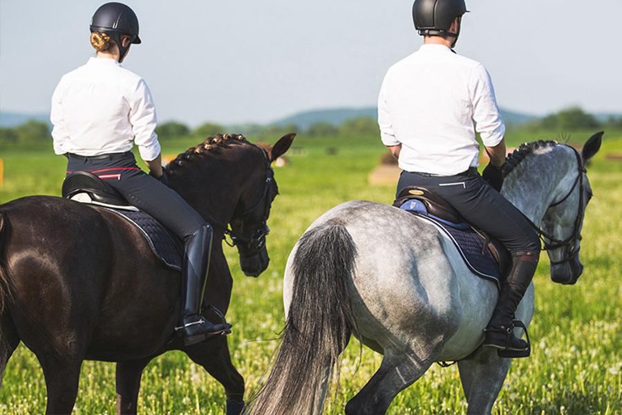 Sattelpad Springen Comfort 18mm