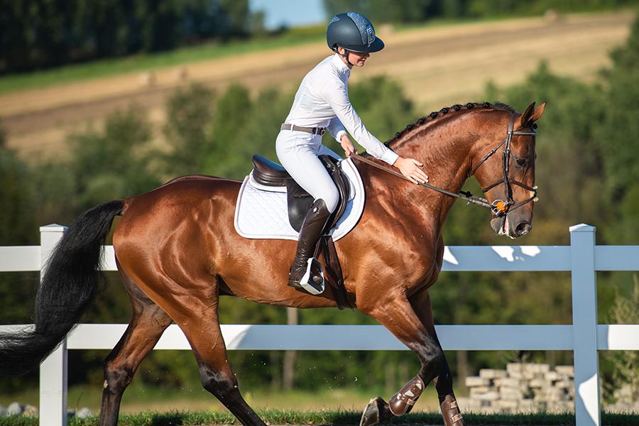 Sattelpad Springen Slim 10mm