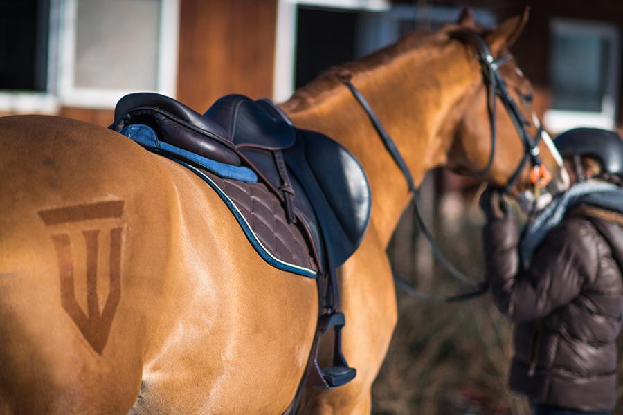 Sattelpad Springen Slim 10mm