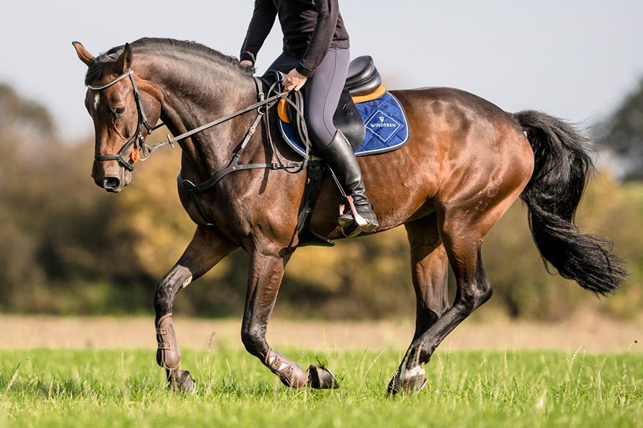 Sattelpad Springen Slim 10mm