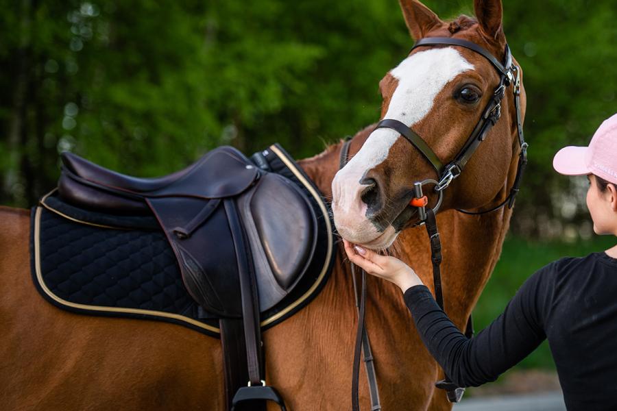 Sattelpad Springen Slim 10mm