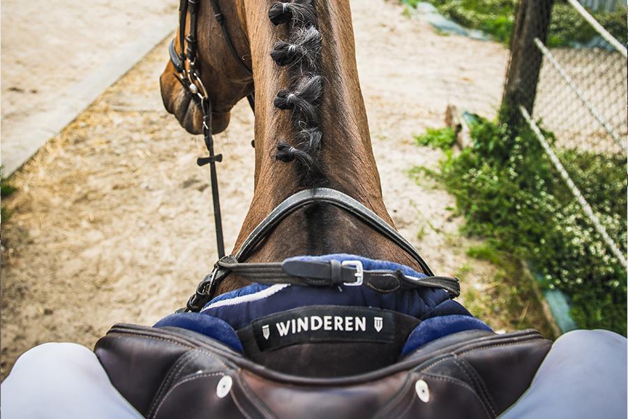 Sattelpad Springen Slim 10mm