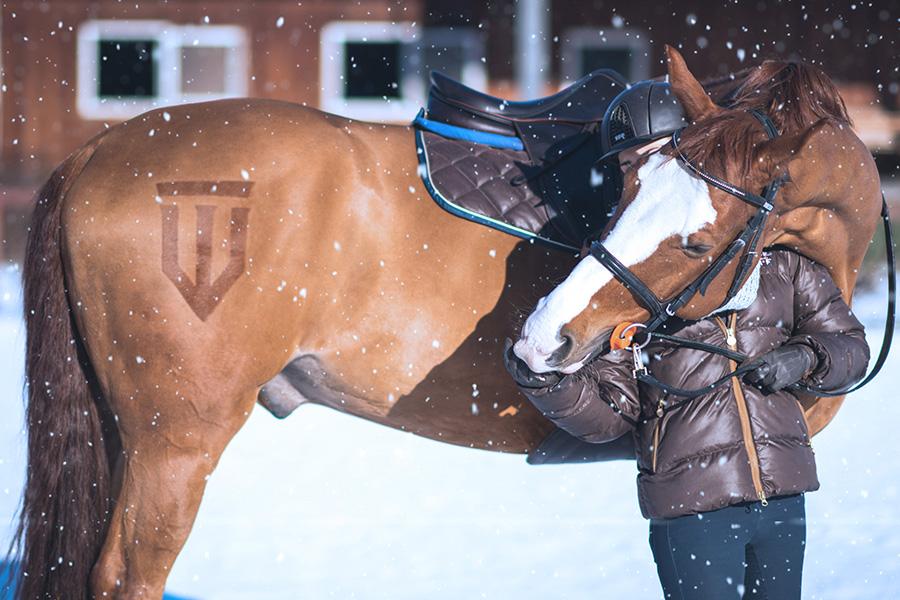 Sattelpad Springen Slim 10mm