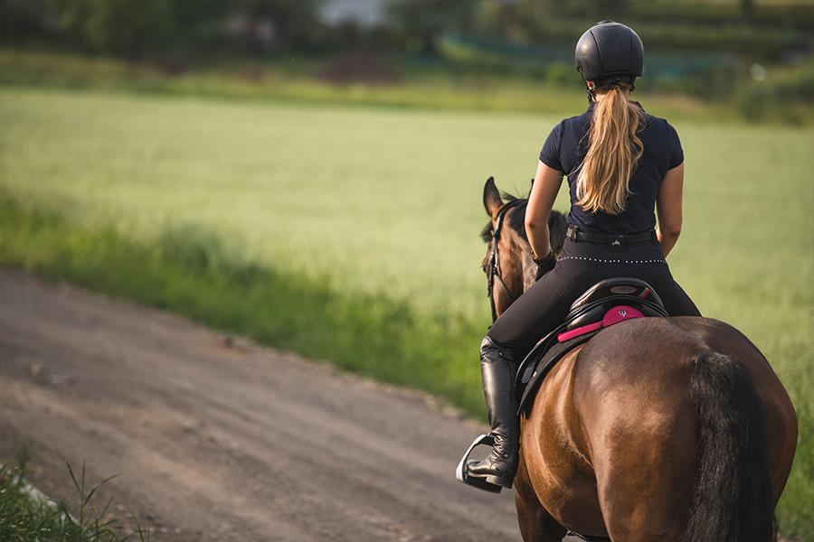 Sattelpad Springen Slim 10mm