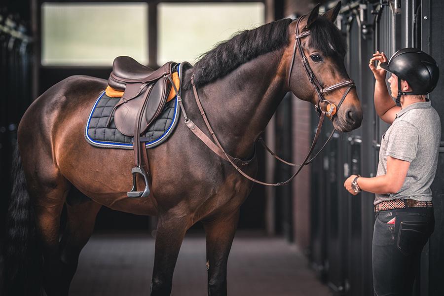 Sattelpad Springen Slim 10mm