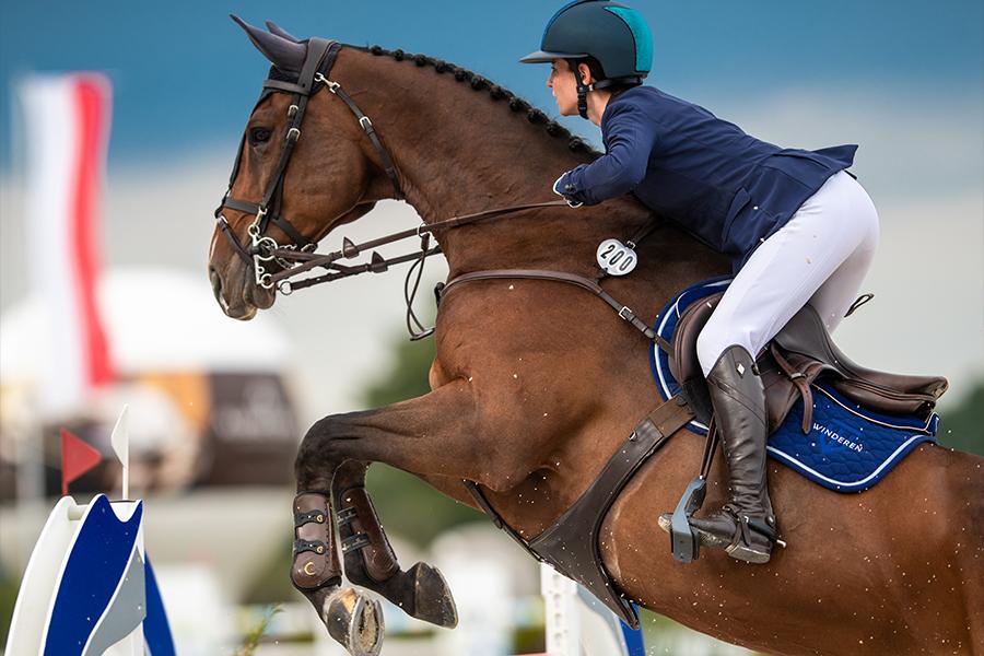 Sattelpad Springen Slim 10mm