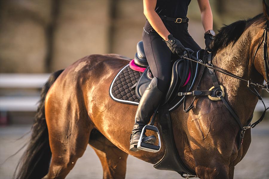 Sattelpad Springen Slim 10mm