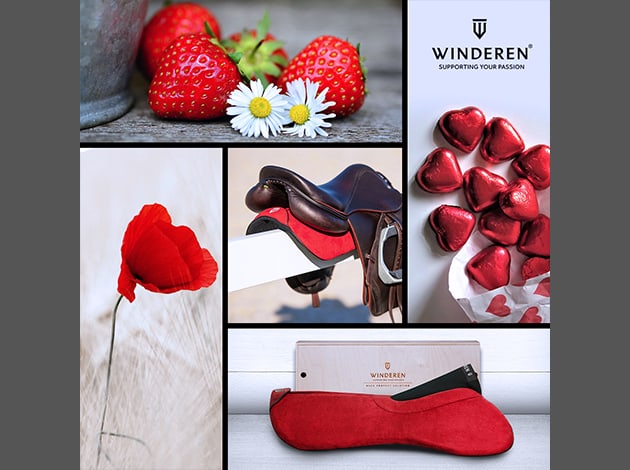 Sattelpad Springen Slim 10mm