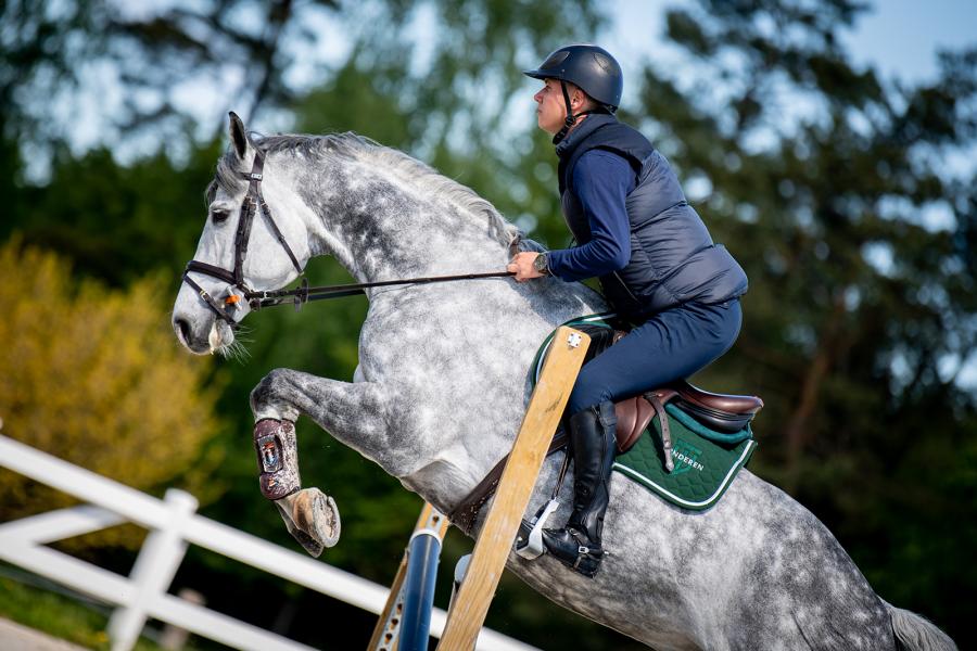 Sattelpad Springen Slim 10mm