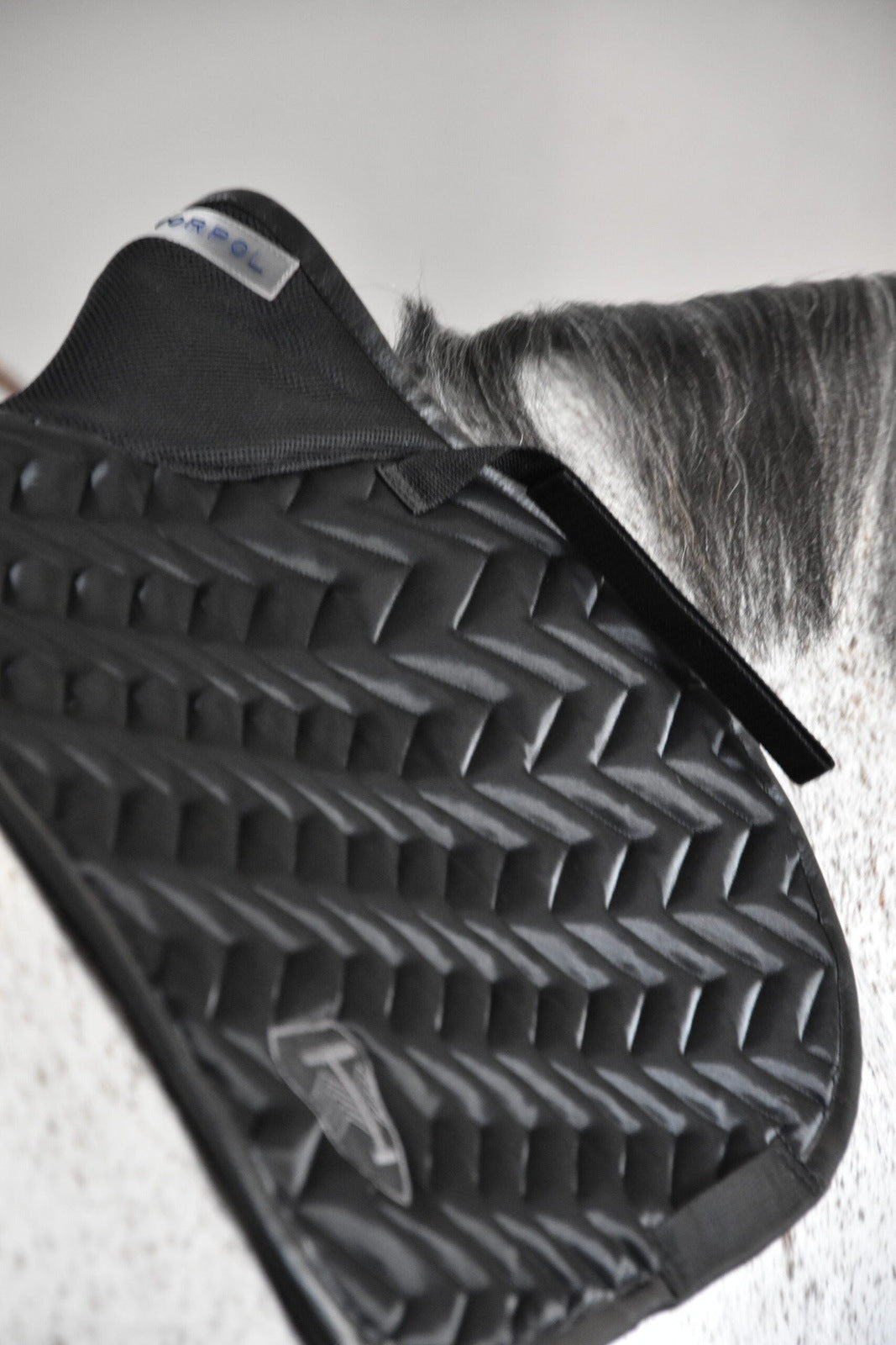 Schabracke Sport Cut™