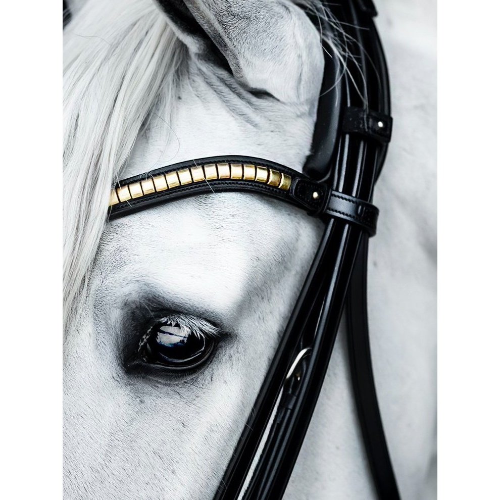 Stirnriemen Clincher