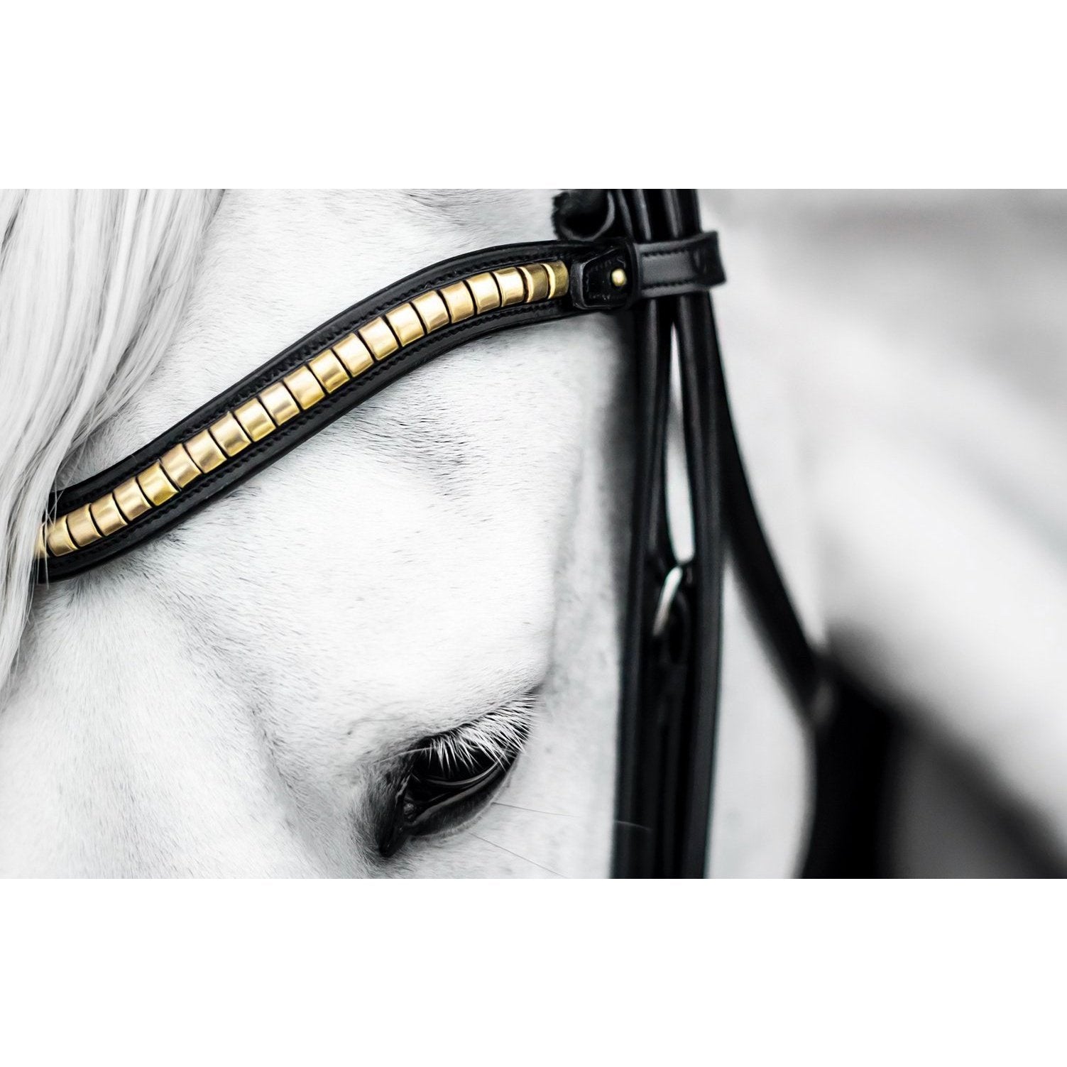 Stirnriemen Clincher