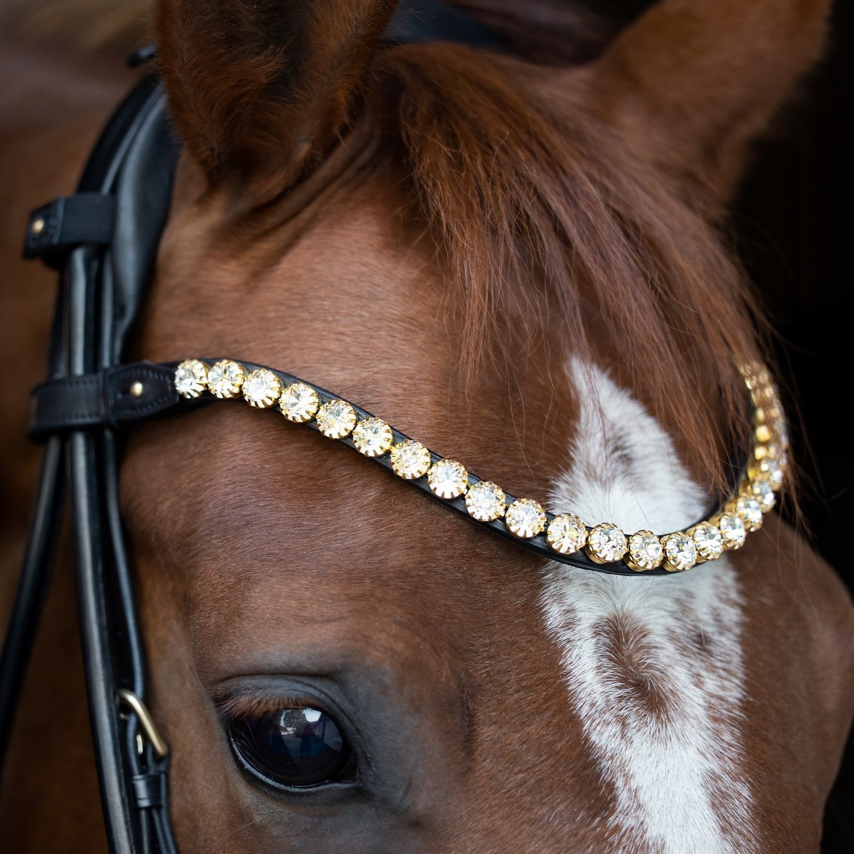 Stirnriemen Elegant Clear