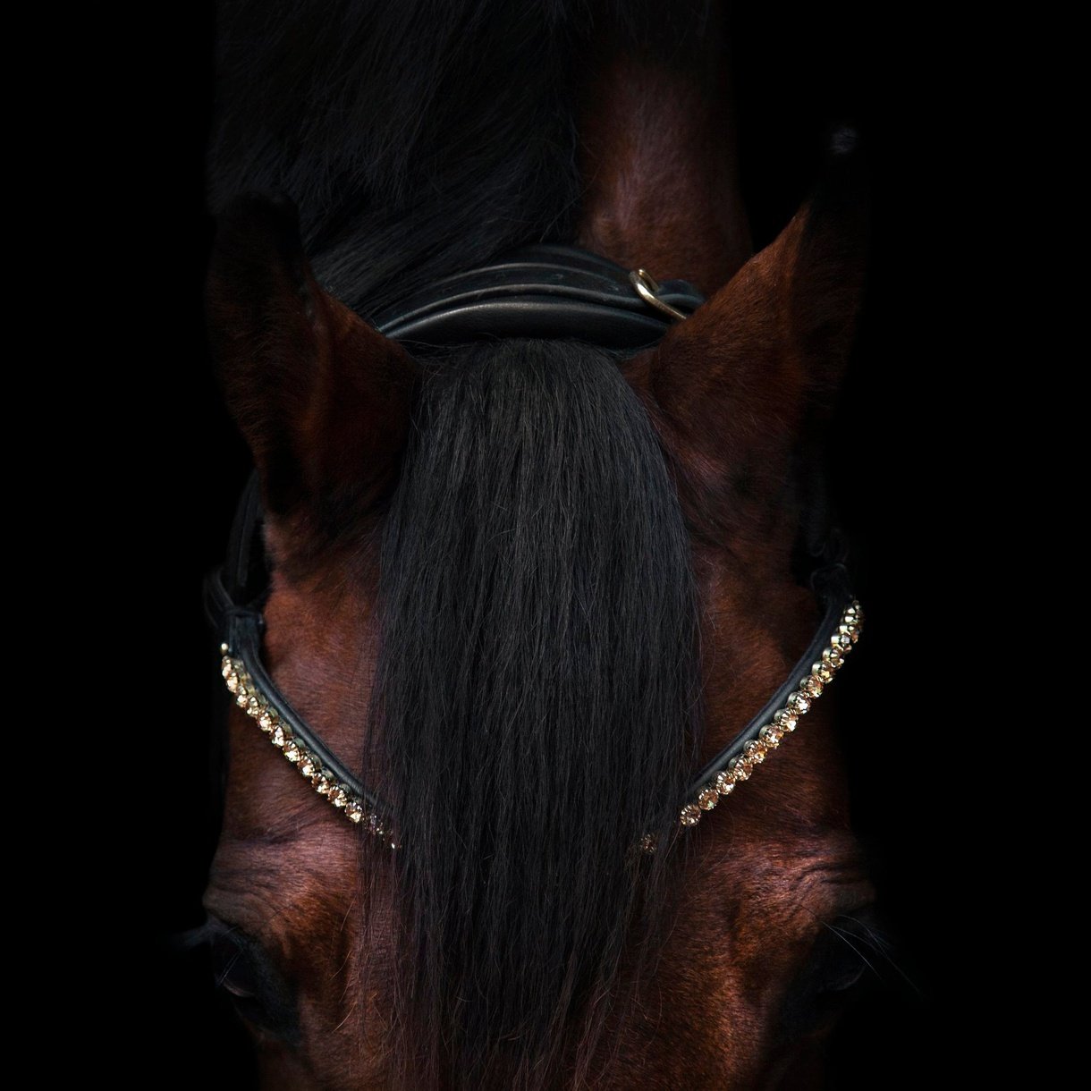 Stirnriemen Elegant Gold