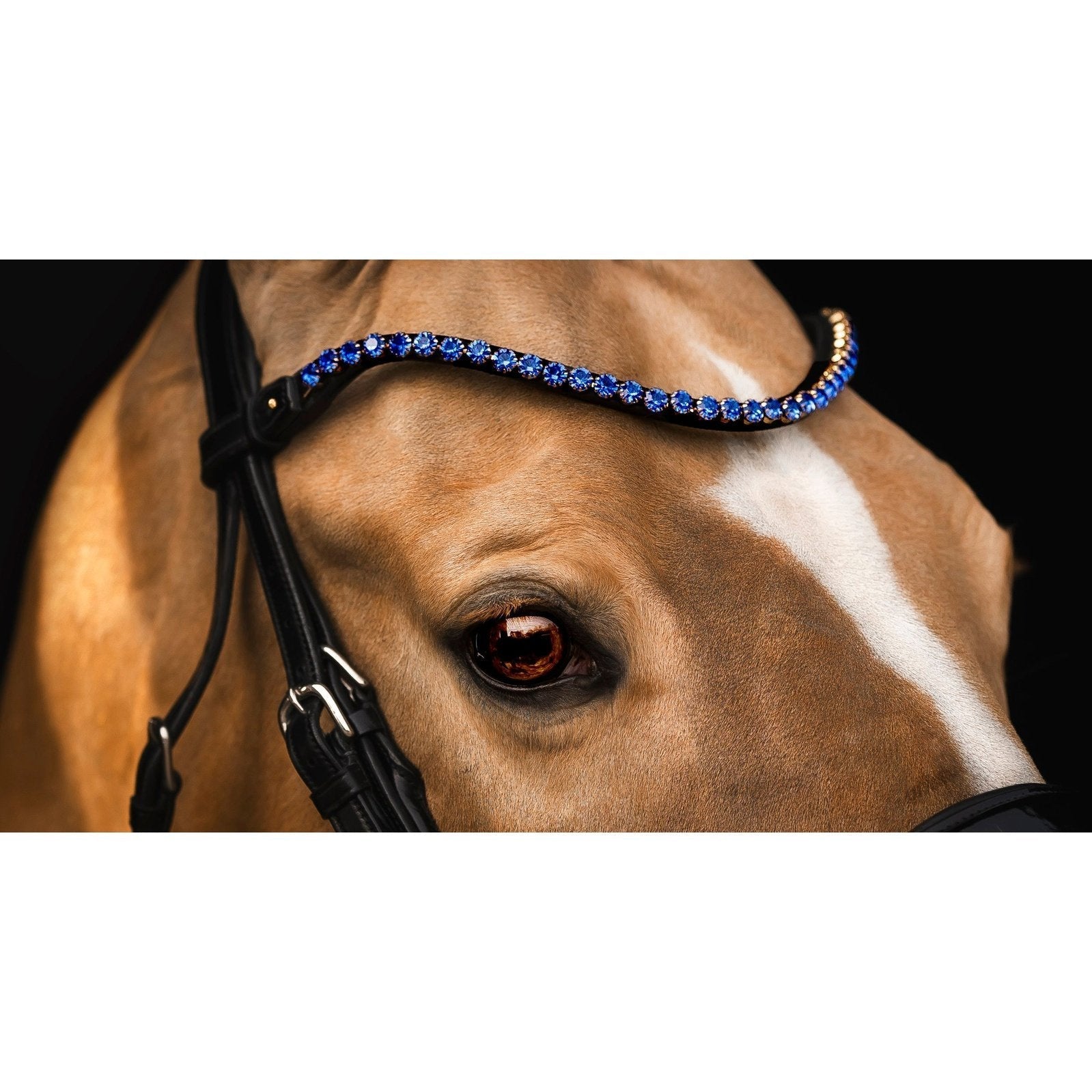 Stirnriemen Elegant Sapphire