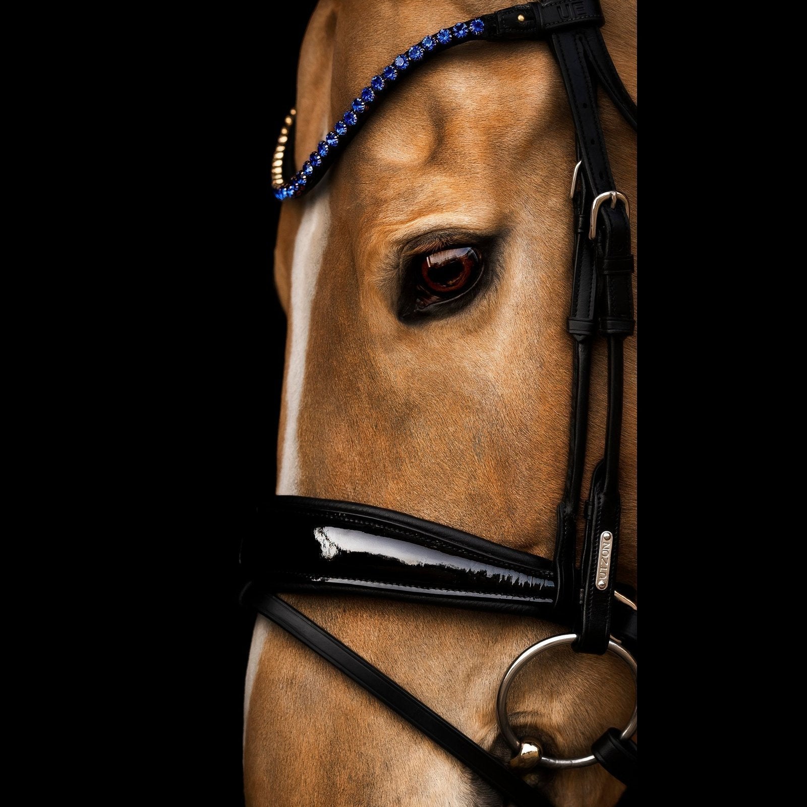 Stirnriemen Elegant Sapphire