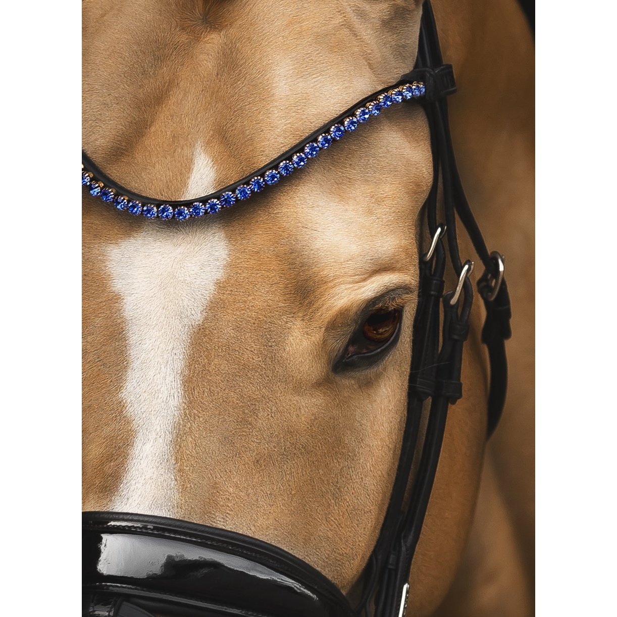 Stirnriemen Elegant Sapphire