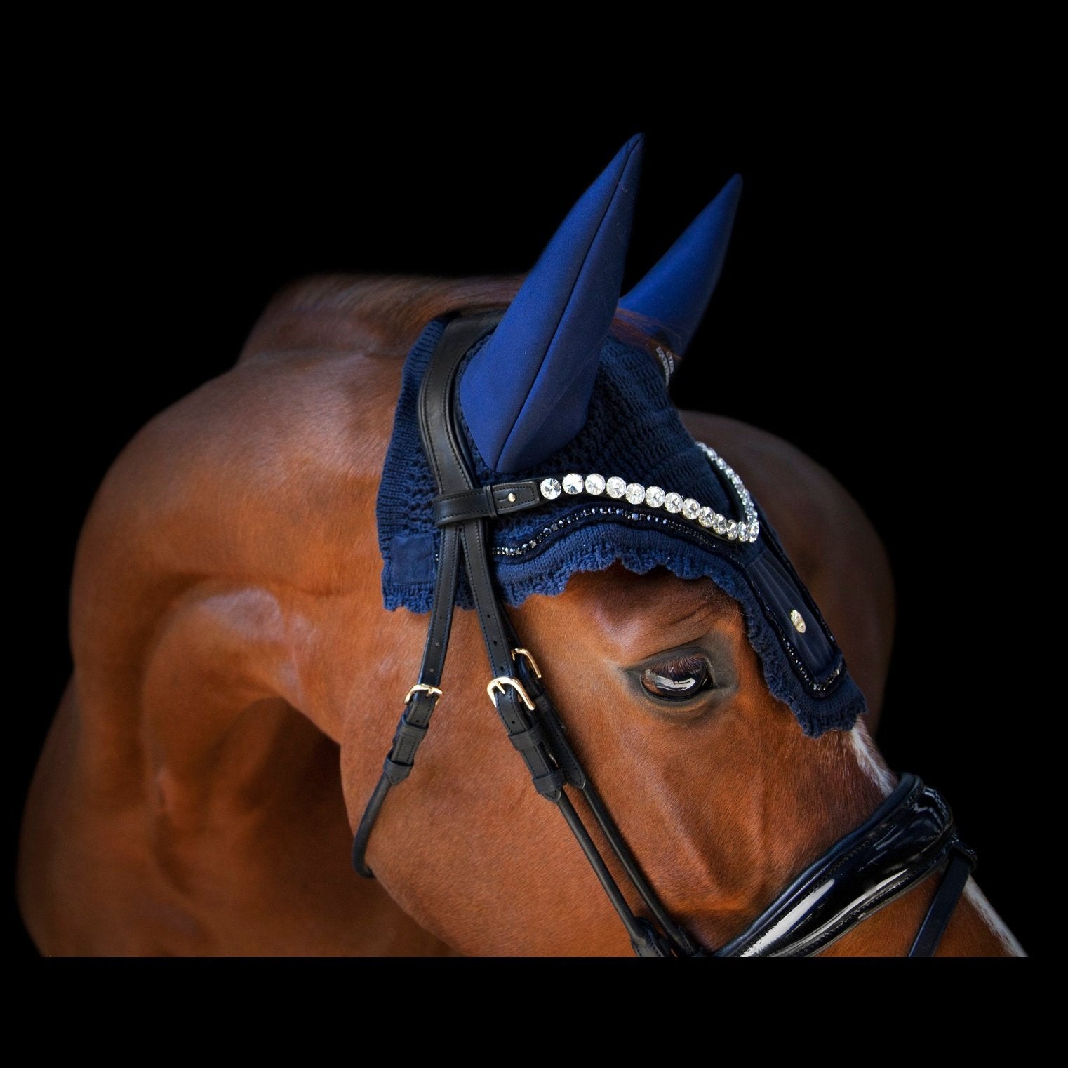 Stirnriemen Empire Clear