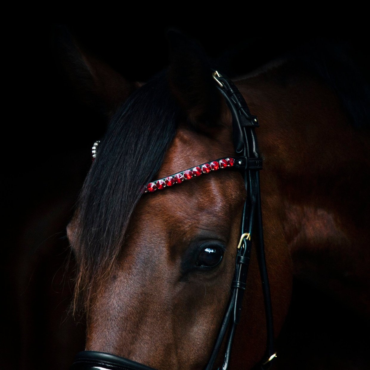 Stirnriemen Empire Ruby