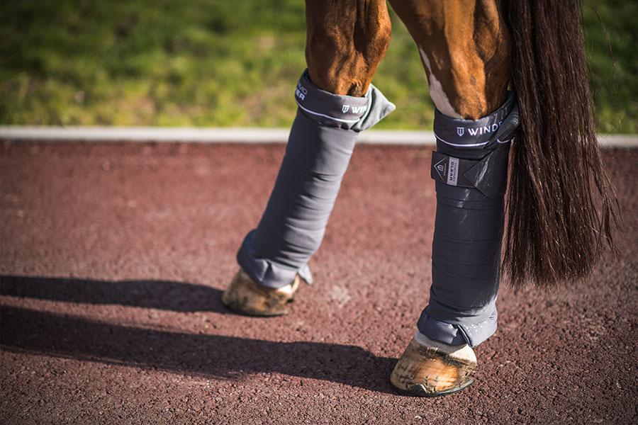 Thermo Clear Stallbandagen