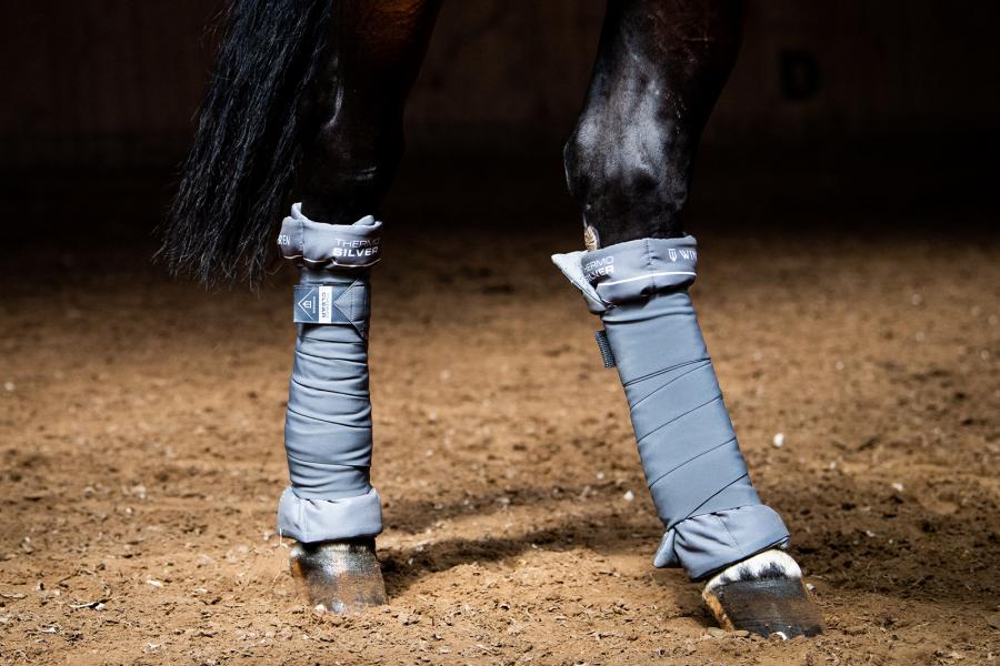 Thermo Clear Stallbandagen