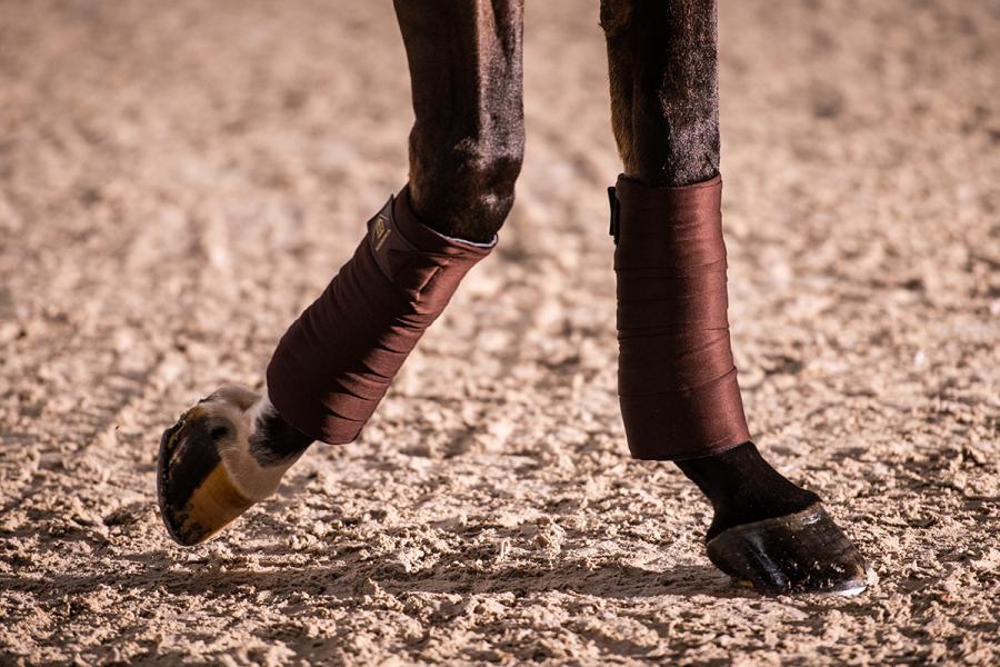 Thermo Clear Trainingsbandagen