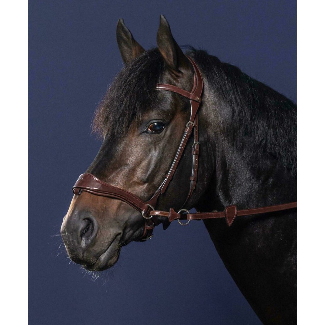 Trense D-Motion NEW ENGLISH Collection