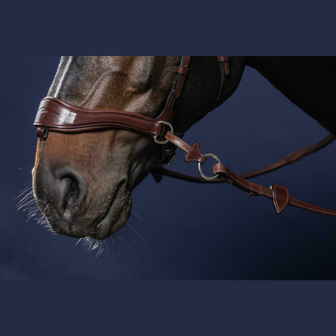 Trense D-Motion NEW ENGLISH Collection