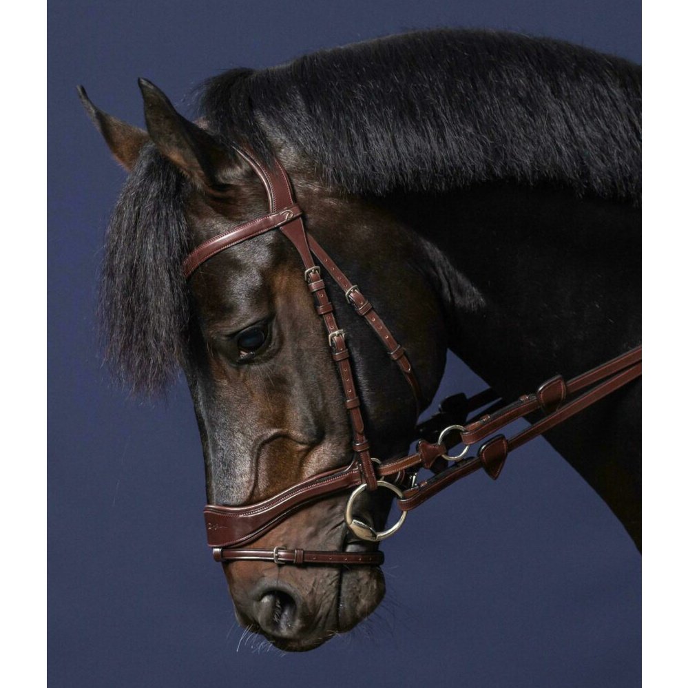 Trense D-Motion NEW ENGLISH Collection