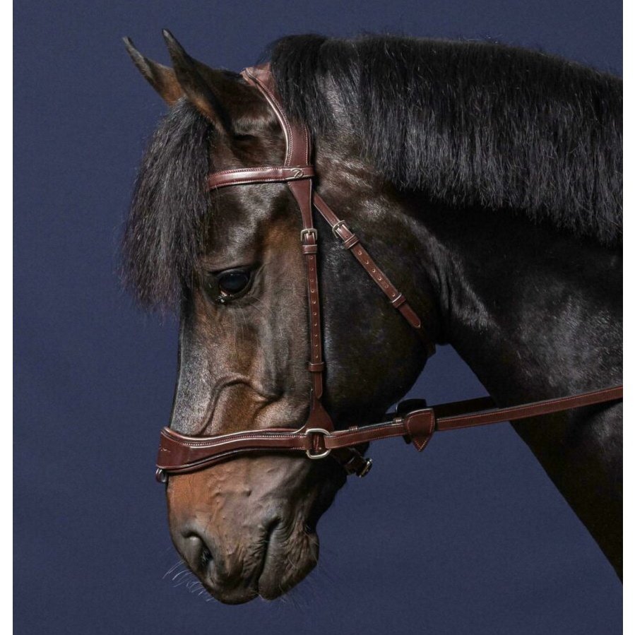 Trense D-Motion NEW ENGLISH Collection