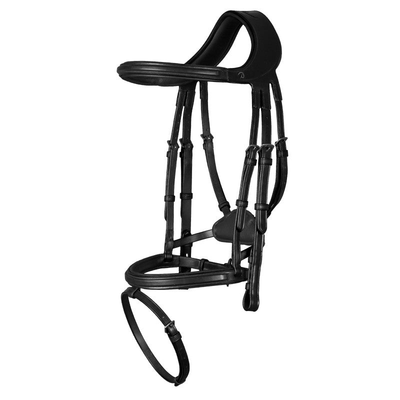 Trense Differenve mit kombiniertem Reithalfter NEW ENGLISH Collection