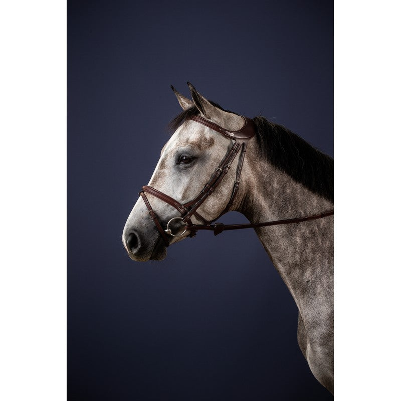 Trense Differenve mit kombiniertem Reithalfter NEW ENGLISH Collection