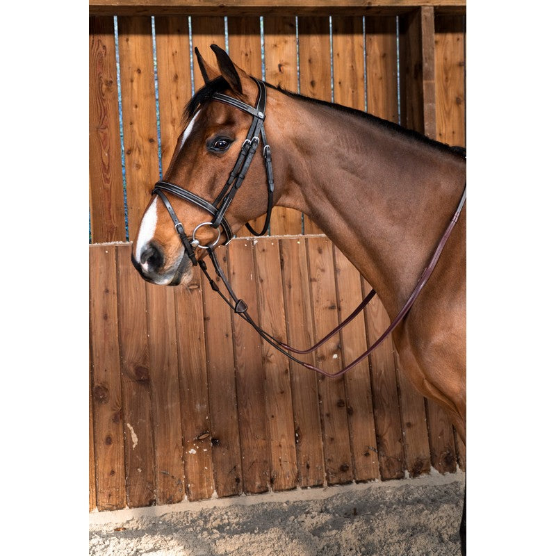 Trense FLASH mit kombiniertem Reithalfter WORKING Collection