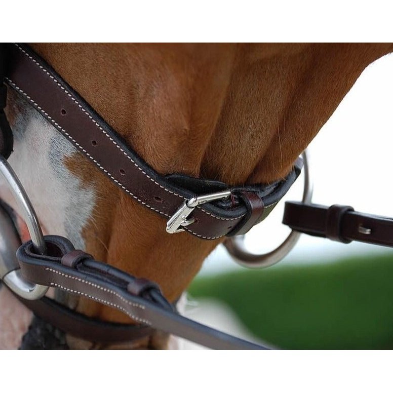 Trense mit kombiniertem Reithalfter und Karabinern